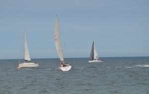 6a42671f902e8_DSC0634.JPG